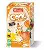 Vitabio - Cool Fruits Pomme Pêche Abricot - Bio - Etui Carton - 12x90g