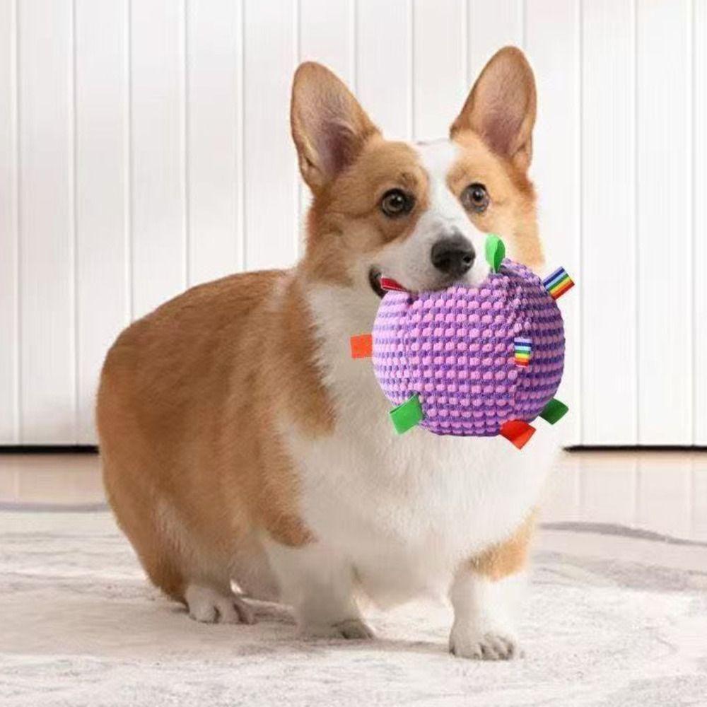 Pet Chew Creative Squeaky Dog 17cm Bite-resistant Dog Vocal Ball Soft Portable Pet Interactive Gift