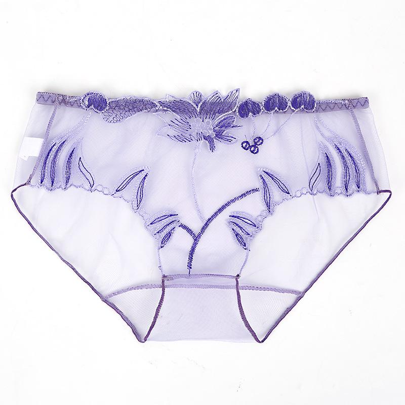 Yan Beiwei Women's Plus Size Mid-Waist Embroidered Sheer Briefs 836