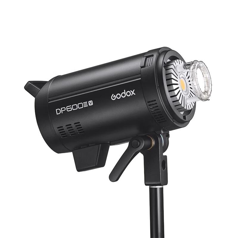 Godox DPIIIV-600W Studio Flash Kit