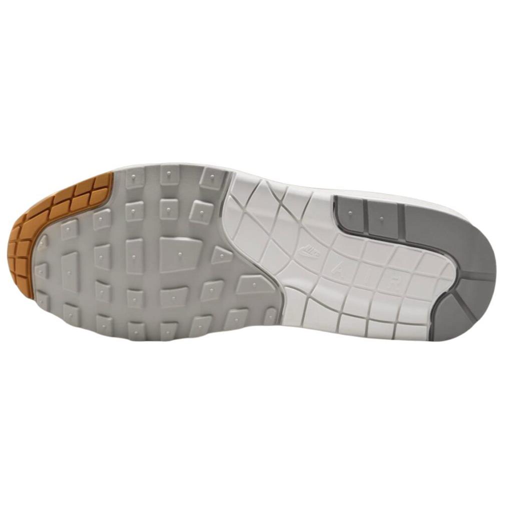 New Nike Air Max 1 Light Iron Ore Flat Pewter IB1492-121