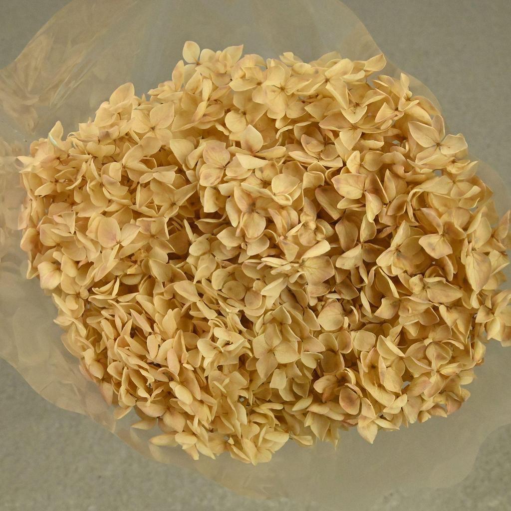 Phantom Flower: Single 20CM Preserved Hydrangea, Handmade Dried Bouquet for Decoration