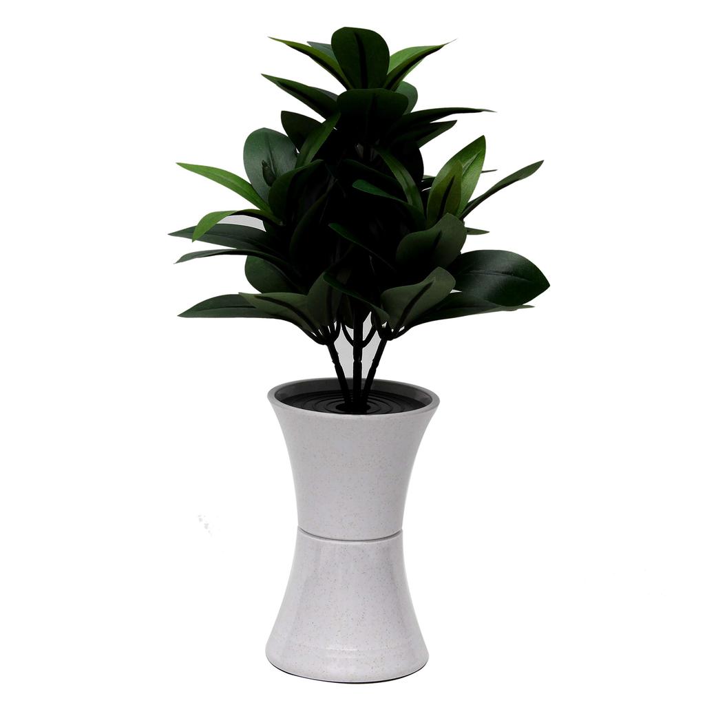 Этот 7-предметный буддийский алтарный набор включает в себя звук «Такаясу Он» нержавеющего колокольчика, емкость для воды, емкость для риса, поднос, вазу, шикими (священный