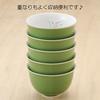 Ranchant Sencha Wakakusa Ran Grass Arita Made in Japan Set, Green, Sencha 9.1x5.5cm, (Little Orchid), Ware,