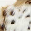 Пальто из искусственного меха с леопардовым принтом, женское, короткое, осенне-зимнее, плюшевое, воротник-стойка, вставная куртка, женская, теплая, стильная, верхняя одежда, женская, повседневная