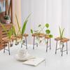 Artistic Wooden Frame Glass Hydroponics Vase Vintage Home Decor Artistic Transparent Flowerpot Coffee Shop Tabletop Decor