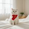 Праздничный Теплый Вязаный Шарф для Кошки Красный Цвет Подарок Шарф на Шею для Питомца Милый Новогодний Шарф для Собаки Выставка Питомцев