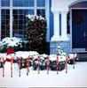 Cross-Border LED Solar Candy Cane Holiday Lights: Waterproof Outdoor Decorative Lawn Lighting