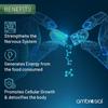 Ambrosial Vitamin B12 1000 мкг + 500 мкг фолиевой кислоты | 1500 мкг | Добавка B12 | Поддержка иммунной системы, энергии и мозга (Упаковка 1-60 капсул)