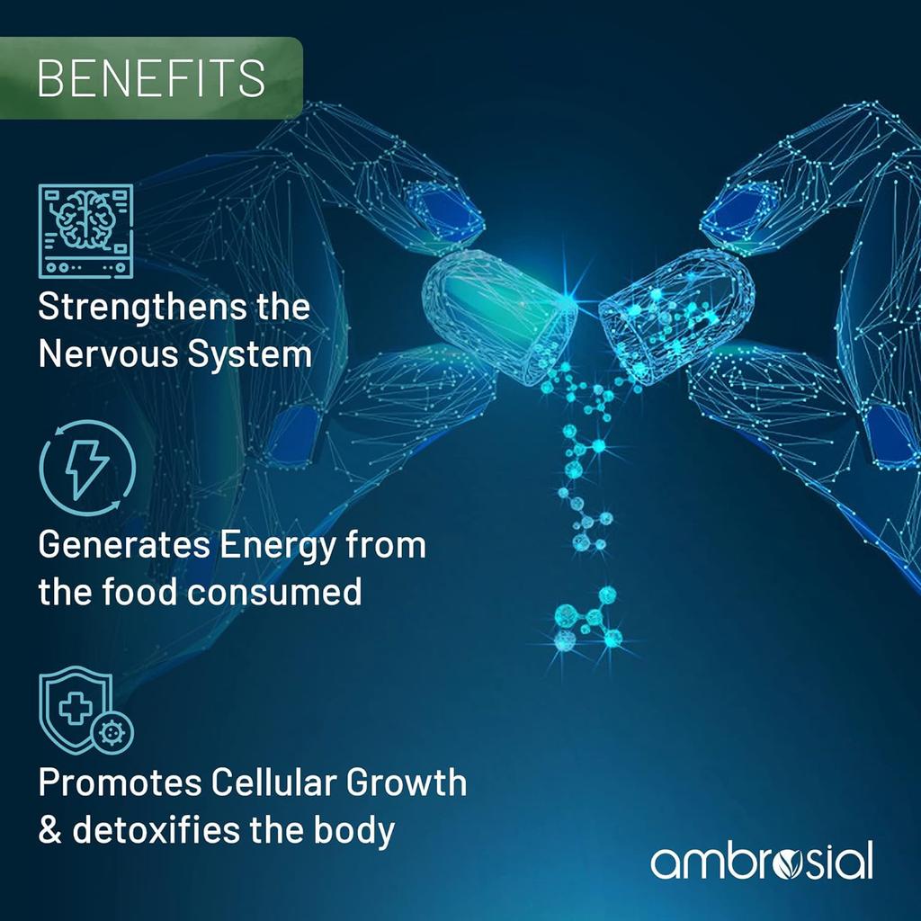 Ambrosial Vitamin B12 1000 мкг + 500 мкг фолиевой кислоты | 1500 мкг | Добавка B12 | Поддержка иммунной системы, энергии и мозга (Упаковка 1-60 капсул)