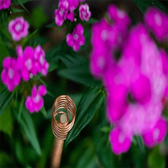 6 шт./компл. 12-дюймовый электрокультурный кол для растений, деревянный стержень, садовые растения, выращивание овощей, электрокультура, медная проволока, катушка, антенна, садовые принадлежности