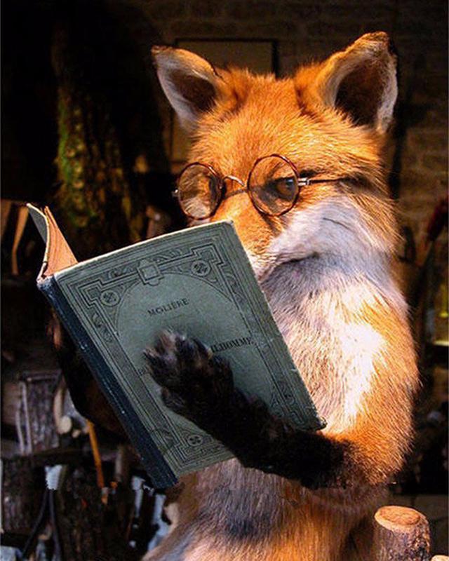 Алмазная картина, полная круглая квадратная принцесса, красивая девушка, 5D DIY, Алмазная вышивка, осень, маленькая девочка и кошка, вышивка крестиком, Алмазная мозаика, настенное искусство