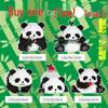 Chaole Sen Orchid Panda Advanced Building Set - Adult Puzzle Blocks Gift Ornament