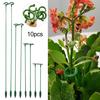 Stakes Slot Design Easy To Use Versatile Application Indoor Outdoor Single Plant Stem Flower Support
