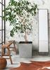 Donica Flore Szary Beton H19X19 Cm