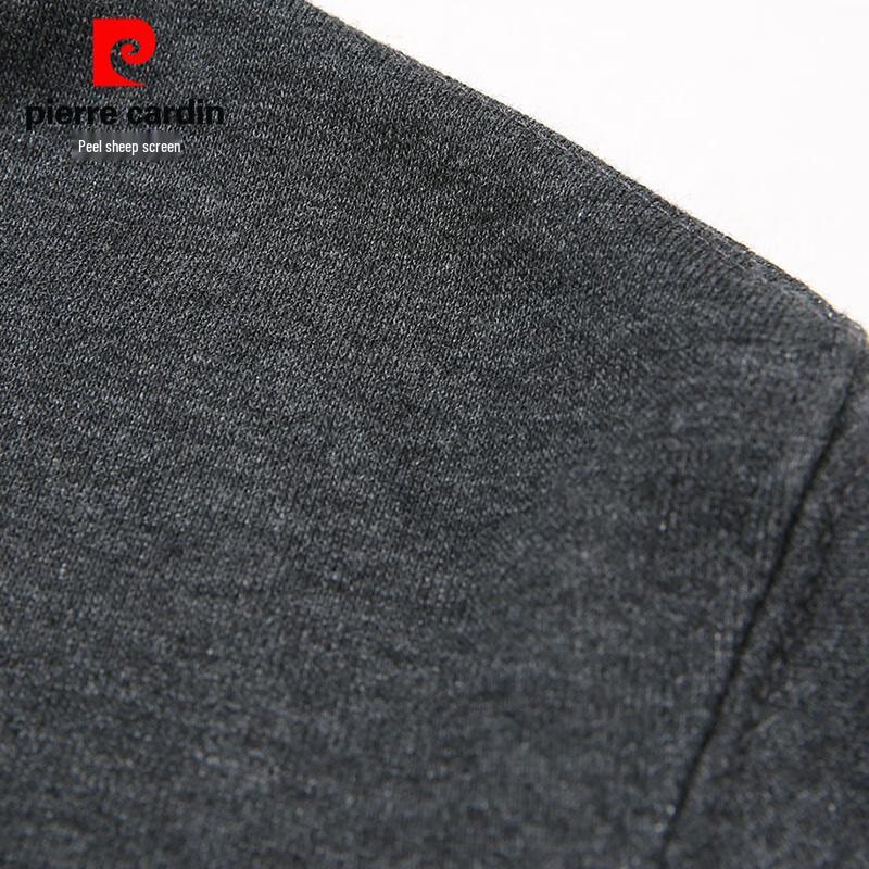 Мужская повседневная толстовка с капюшоном Pierre Cardin