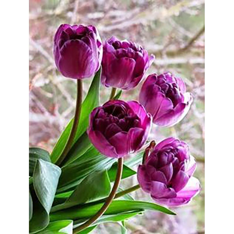 5D DIY алмазная живопись цветы роза набор для вышивки крестом полная круглая дрель вышивка мозаика стены книги по искусству стразы домашний декор подарок