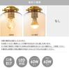 Interform LT-4304WH Точечный светильник Rike с лампой накаливания, Белый, Золотой, Современный