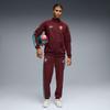 Puma Мужская футболка с длинным рукавом на молнии, влагоотводящая, приталенная, для сборной Португалии, топ 784833-24