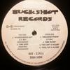 12-дюймовая пластинка РАЗЛИЧНЫЕ Без названия BST2251 BUCKSHOT 1998 US Rap HipHopRB Б/у