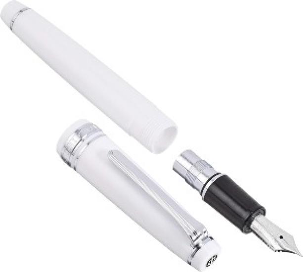 Sailor Professional Gear Slim Silver Fountain Pen White EF Nib 11-1222-110 with Converter