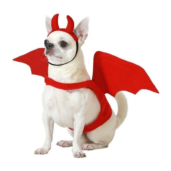Déguisement De Diable Pour Chien