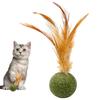 1 шт. Игрушки для кошек Кошачья мята Котенок Кошачья мята Перьевой мячик Интерактивный Леденец Натуральный Пинатель для кошек Дизайн с перьями Чистка зубов кошек