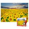 Пазл из 1000 деталей - поле подсолнухов, популярная корейская головоломка