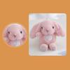 Plush Toy Long Ear Rabbit Kawaii Cartoon Animal Cute Stuffed Doll Birthday Gift
