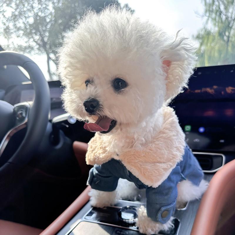 Pet Winter Coat Dogs Cats Fleece-Lined Denim Cotton Jacket Warm Thick Outerwear In XS To XL