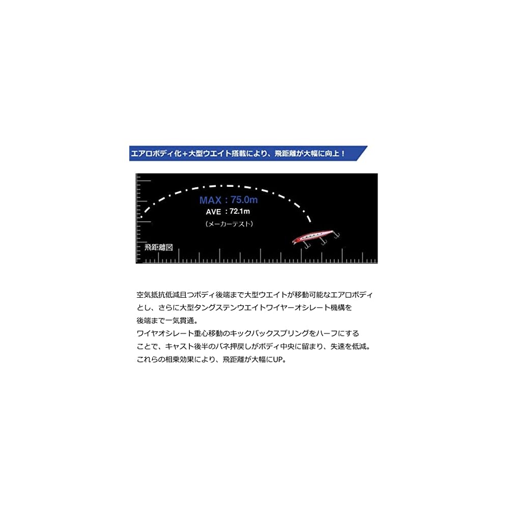 Daiwa Shoreline Shiner Z Veritas R125F-SSR 125mm Fishing Lure with Realistic Design and High Durability