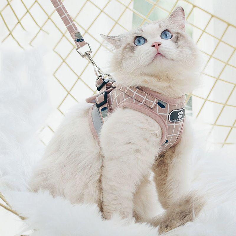 Светоотражающий комплект поводков и шлейки для кошек Gotas Sphynx Harnesses Walking Dog Leash mascotas Аксессуары для кошек