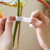 Plant Tie Double Sides Reusable Nylon Hook Loop Garden Supports Bamboo Cane