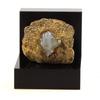 Lussatite (Opale-CT) 99.10 Carats