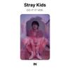 Stray Kids СДЕЛАЙ ЭТО ЭТО ВЕР. Официальная фотокарта