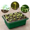 12 Hole Plant Seed Grows Box Nursery Seedling  Garden Yard Tray Hot