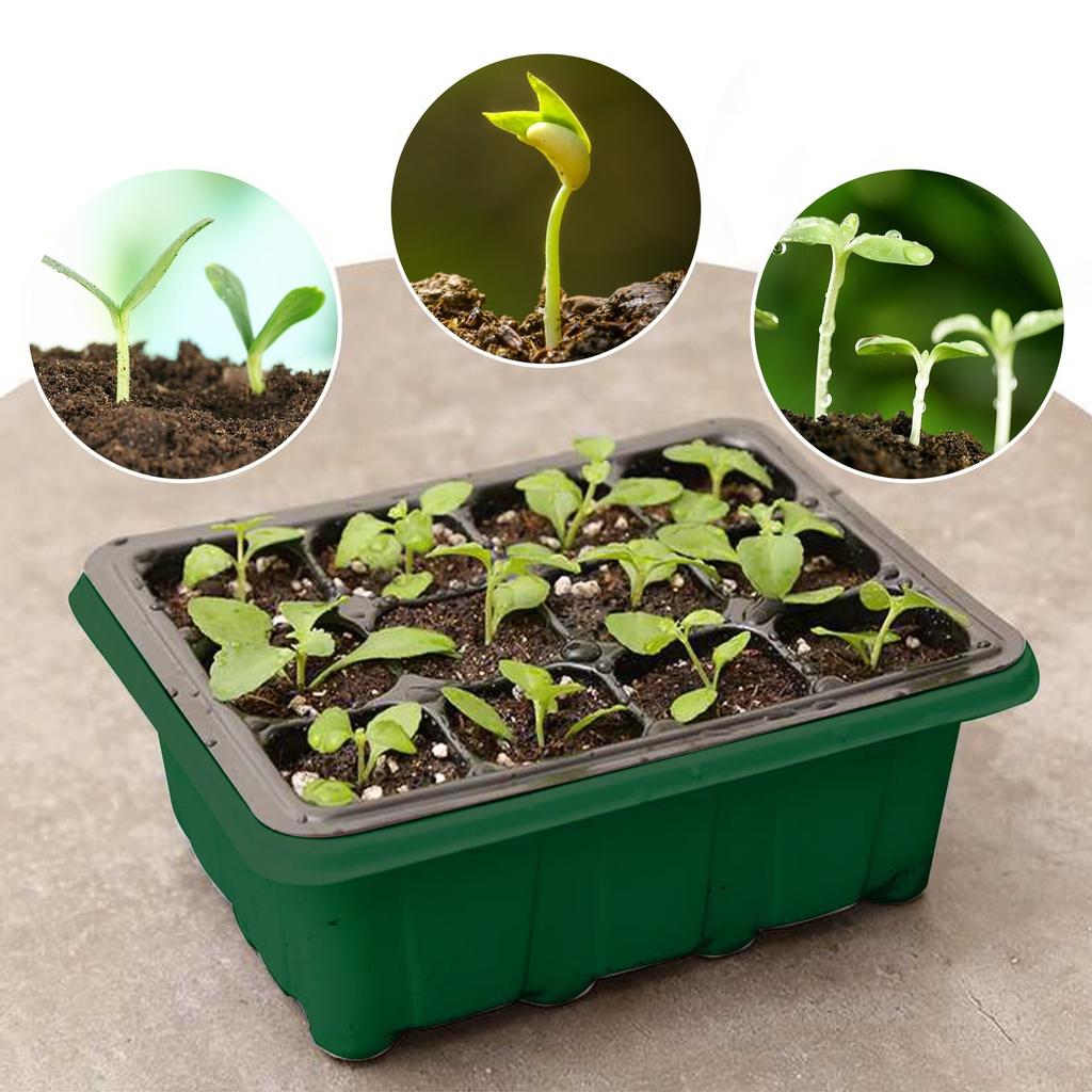 12 Hole Plant Seed Grows Box Nursery Seedling  Garden Yard Tray Hot