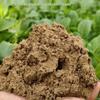 Versatile Sandy Loam Soil for Vegetables, Flowers, and Potted Plants - Fine, General-Purpose Planting Soil