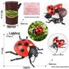 4D Stereo DIY Animal Model Kit: Eagle, Scorpion, Gecko, Rattlesnake, Spider, Lizard, Squirrel, Hedgehog