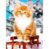 5D набор для алмазной вышивки "Кот"