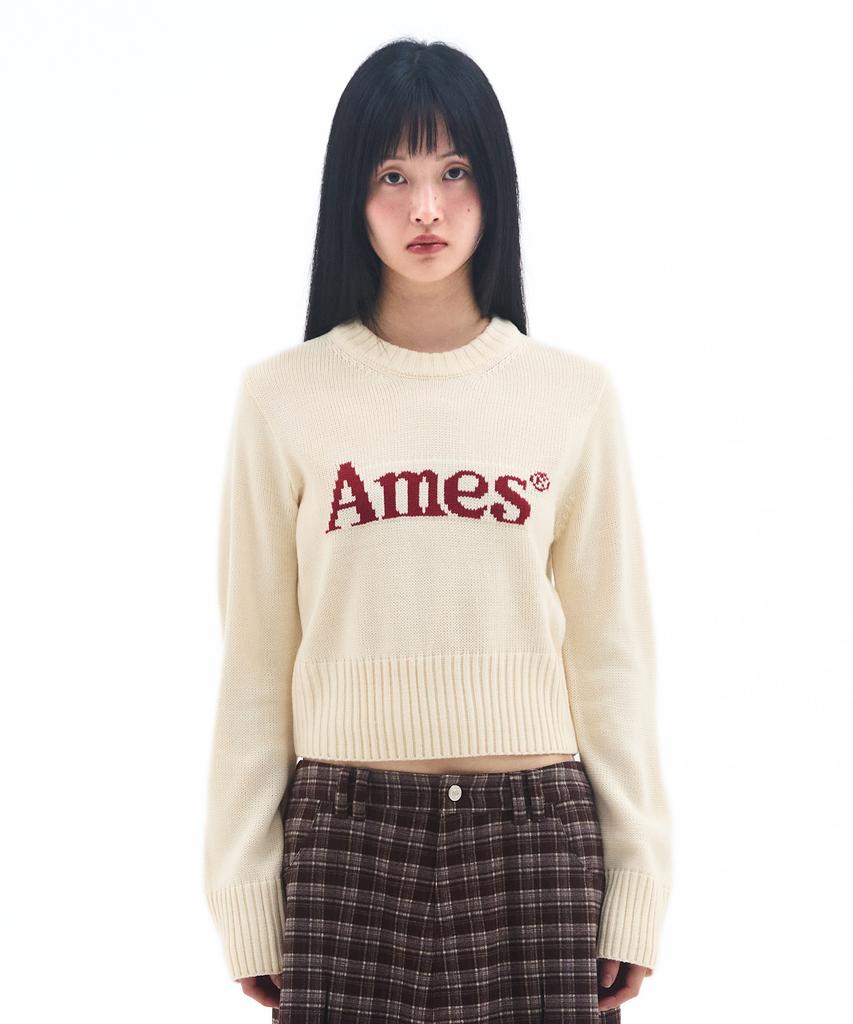 AMES-WORLDWIDE Basic Pullover Knit Ivory