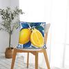 Pillow Cover Fruit Lemon Morden Pillow Case For Sofa Home Decor Pillowcases
