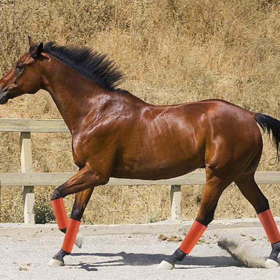 4 шт. сапоги Horse Fly Boots дышащие сетчатые леггинсы для лошадей принадлежности для лошадей для уменьшения усталости ног от топота копыт