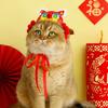 Мультяшная собака Украшение для Праздника Весны Милая одежда для питомца Кошка Новогодняя шапка с головой тигра Подарок