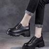 British Style Small Leather Shoes Women's High Heels with Skirts 2025 Autumn New Heightened Platform Loafers Mary Jane Single Shoes