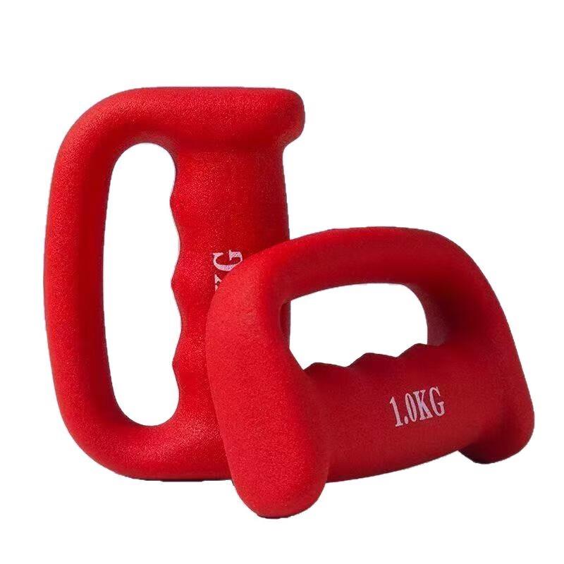 WEZHO Outdoor Boxing Training Dumbbell