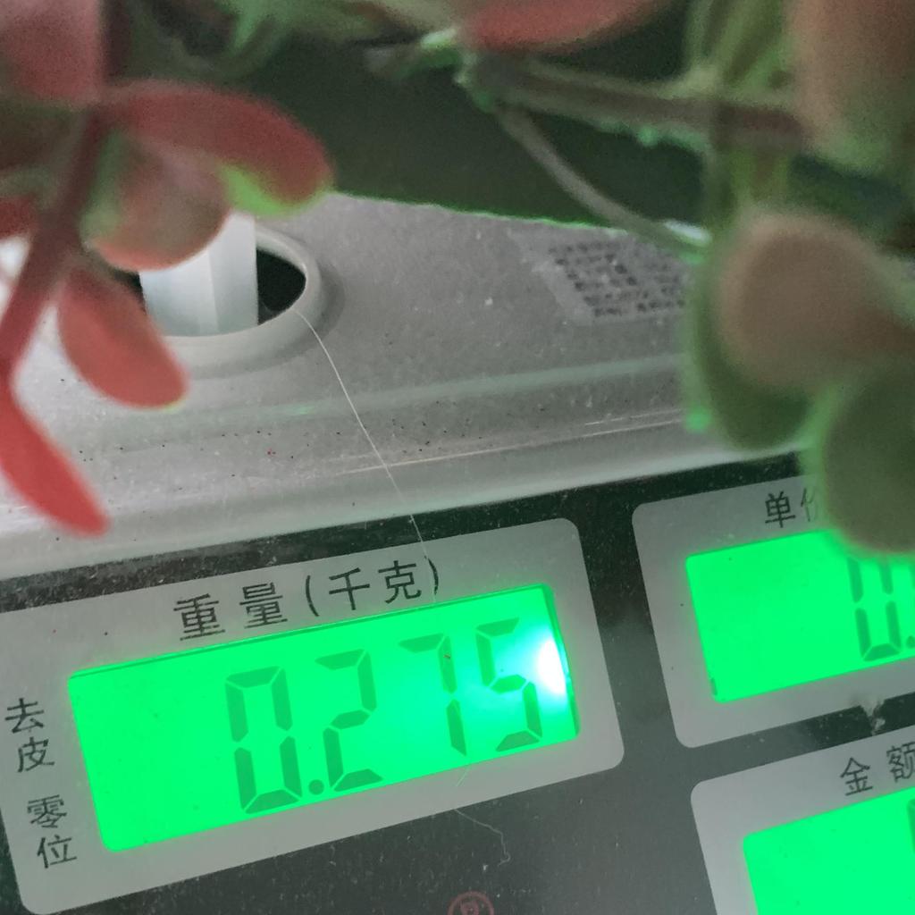 Рождественская имитация зеленого растения Венок из листьев денежного дерева Виноградная лоза Кольцо Домашнее украшение для подвешивания на окно или дверь 40 см