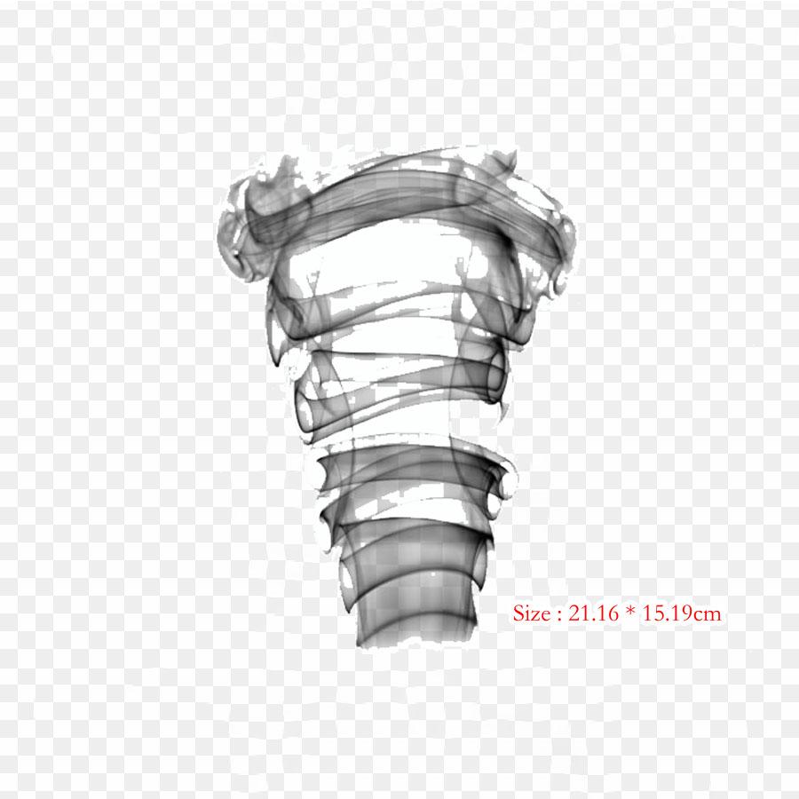 God Of Destruction Universe 11 Beerus Dragon Iron On Heat Transfer Printing Vinyl Patches Sticker for Clothes DIY Appliques Washable Patches