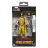 Hasbro MARVEL Legends Серия Росомаха, Marvel Studios Дэдпул и Росомаха (Поврежденный в бою костюм) 15 см Коллекционная фигурка G2365 Оригинальная