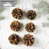 Christmas Pinecone and Dried Flower Tree Hanging Ornaments
